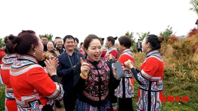 毕节秘境再现杜鹃花海，彝风歌舞颂生活之美