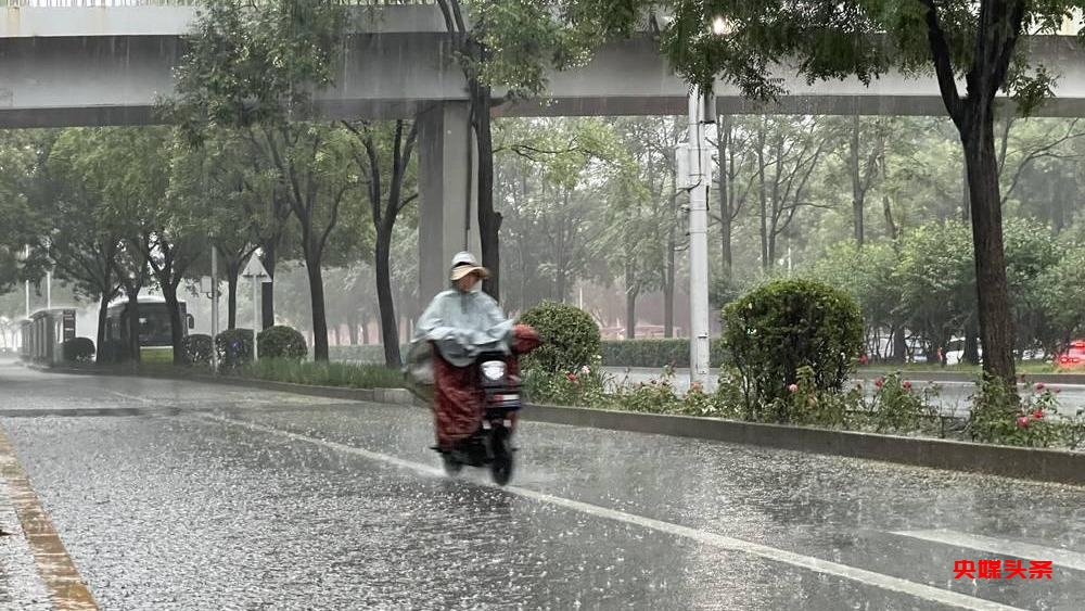 专家提示：连续降雨后，应科学清洁环境预防常见传染病