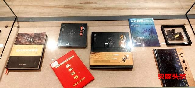 龙腾盛世，黔龙化石拓片展震撼贵阳！