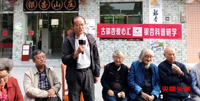 贵州白云牛场石龙村：探秘千年古银杏，领略民族文化之美