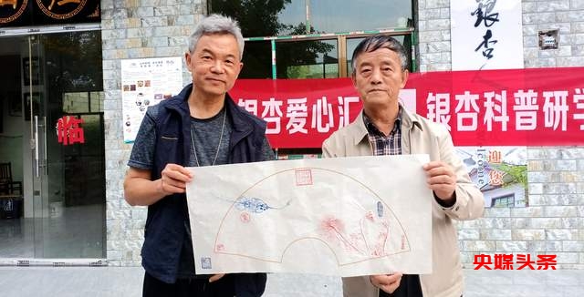 贵州白云牛场石龙村：探秘千年古银杏，领略民族文化之美