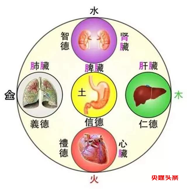 罗文礼治疗痛风方剂渊源如何将民族医药理论与现代医药相关