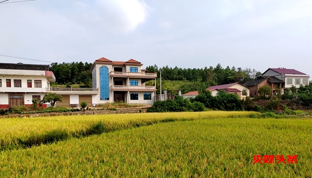 新化县上梅街道北渡村：狠抓“三个起来”建设和美乡村